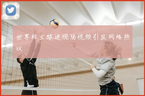 世界杯女球迷现场视频引发网络热议