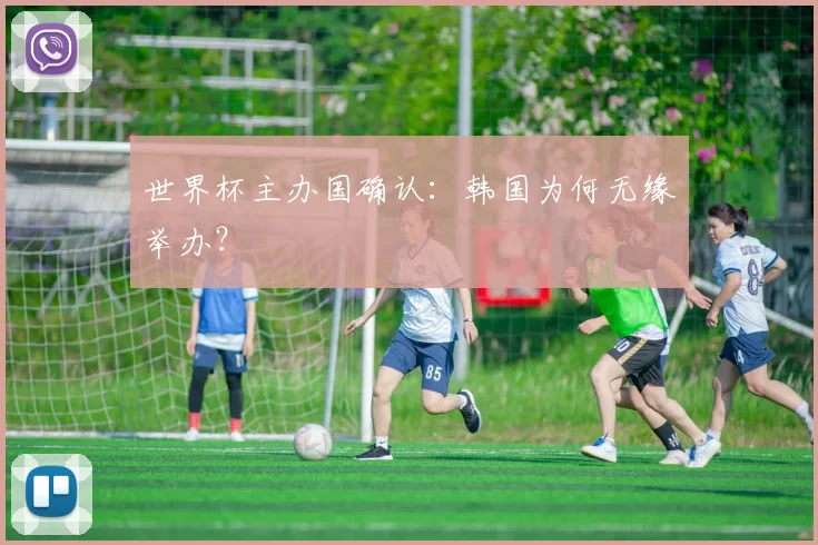 世界杯主办国确认：韩国为何无缘举办？