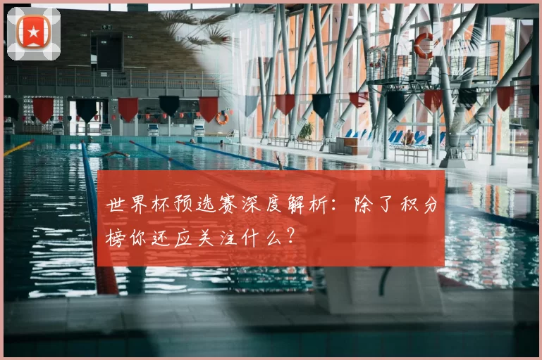 世界杯预选赛深度解析:除了积分榜你还应关注什么?