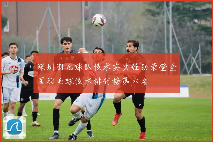 深圳羽毛球队技术实力强劲荣登全国羽毛球技术排行榜第六名