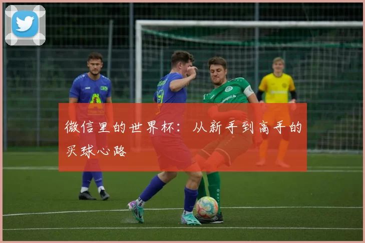 微信里的世界杯:从新手到高手的买球心路