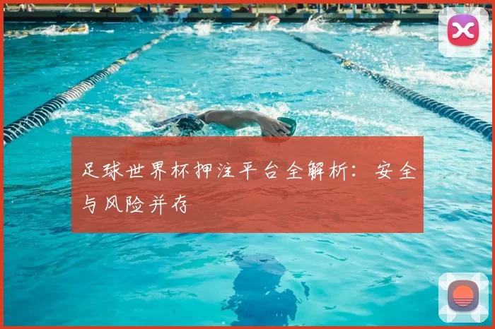足球世界杯押注平台全解析:安全与风险并存