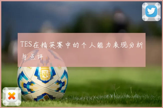 TES在精英赛中的个人能力表现分析与点评