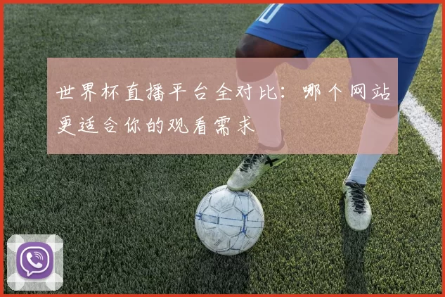 世界杯直播平台全对比:哪个网站更适合你的观看需求