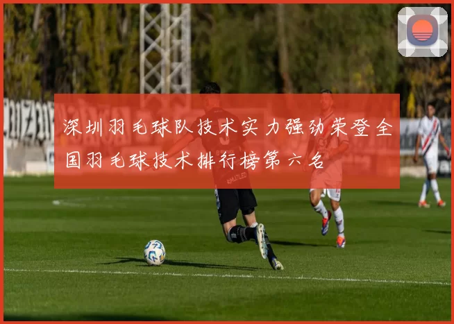 深圳羽毛球队技术实力强劲荣登全国羽毛球技术排行榜第六名